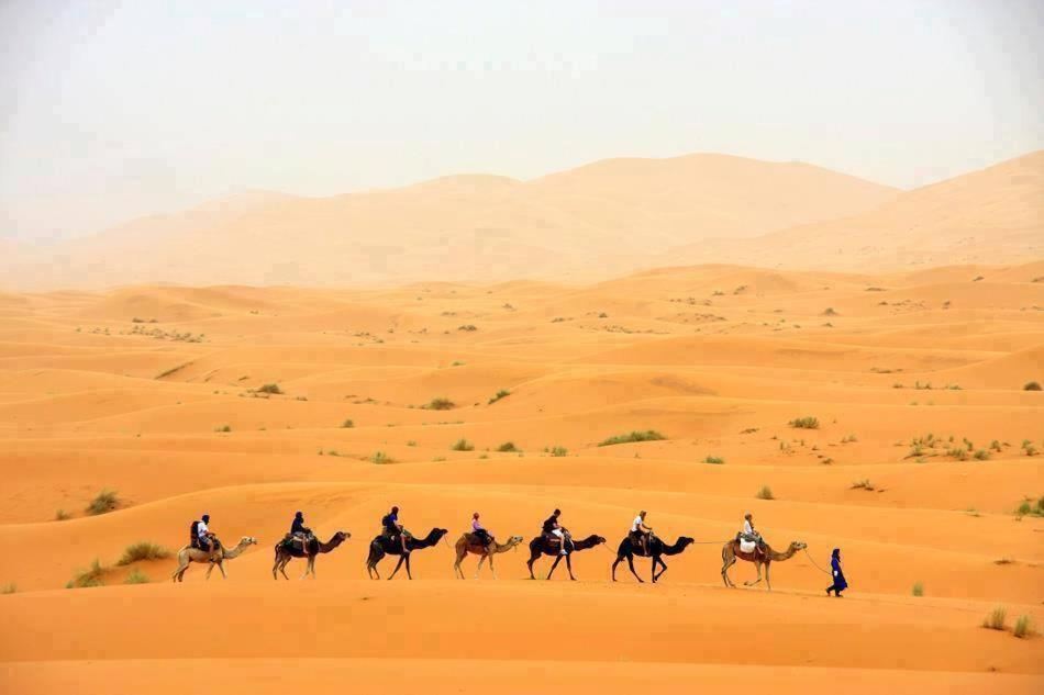 מרזאוגה Sand Rose Luxury Camp מראה חיצוני תמונה